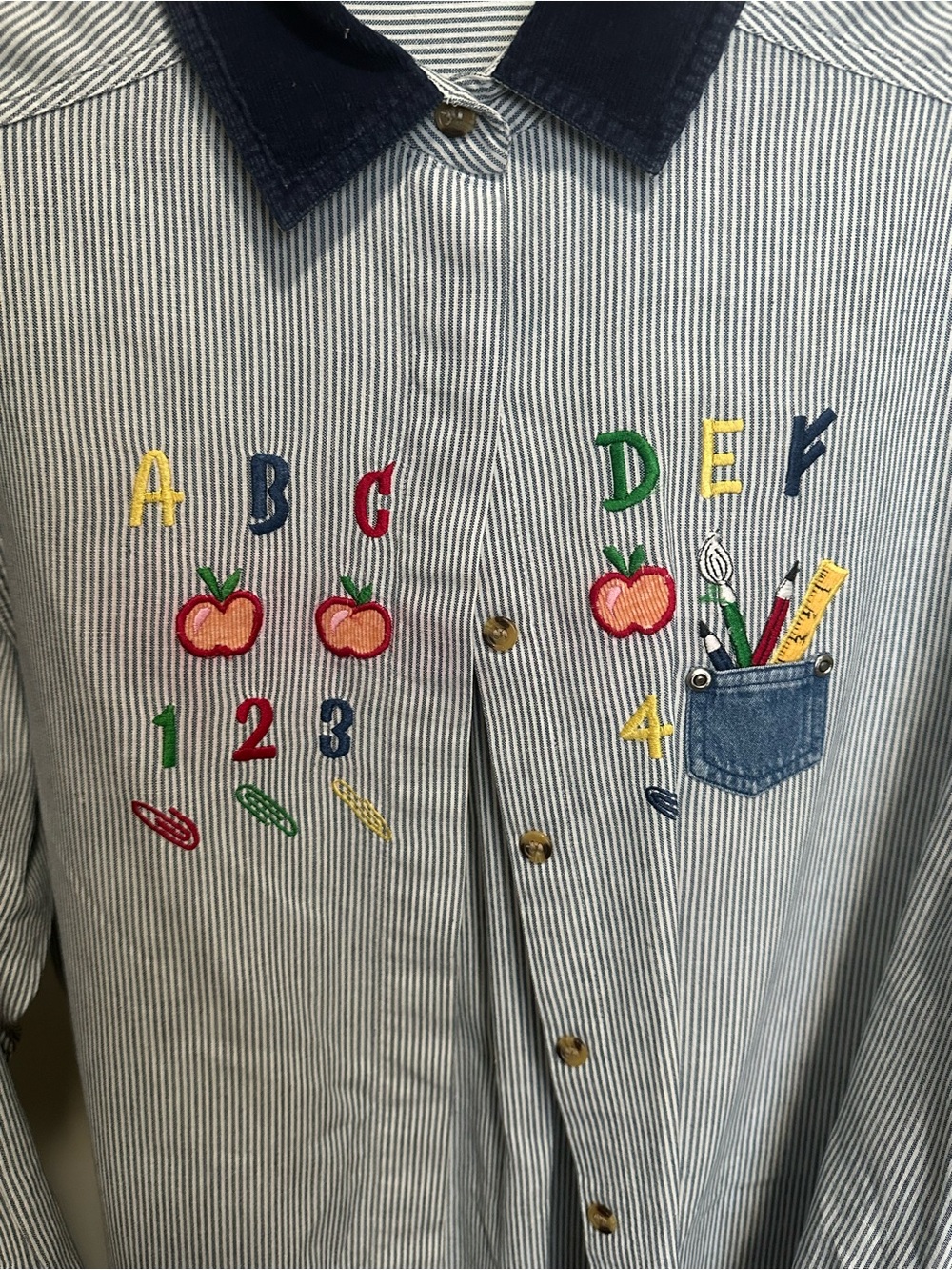 Vintage Blue and White Striped Button Down with Teacher School Themed Embroidery - Picture 2 of 9
